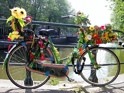 Le Bici di Amsterdam.. attenzione a non essere travolti !