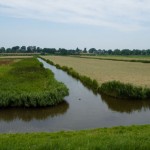 Polder