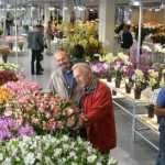 Hortifair Fiera Fiori