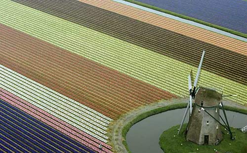 arazzo naturale in primavera