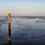 Schiermonnikoog Isole Frisone