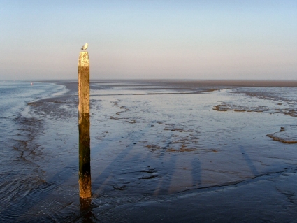 Schiermonnikoog, una delle Isole Frisone