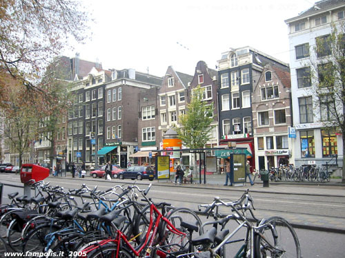 Amsterdam Cosa fare in primavera
